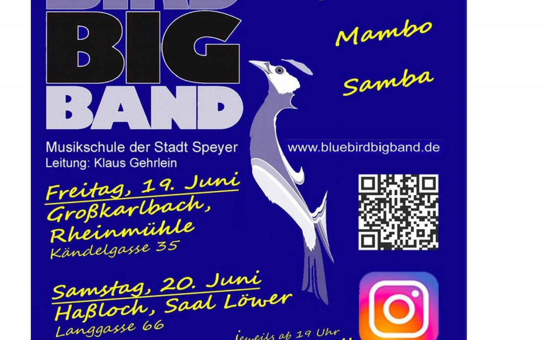 Hot Latin Night !    mit der BlueBird Bigband